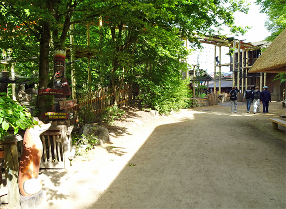 Zur Bilder-Galerie