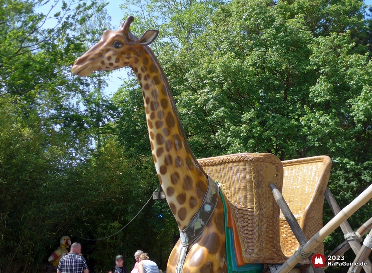 Der Korb von Giraffe Akira dient als Aussichtspunkt