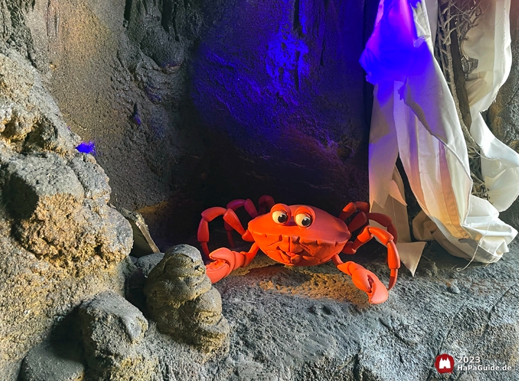 Eine rote Krabbe auf Felsen