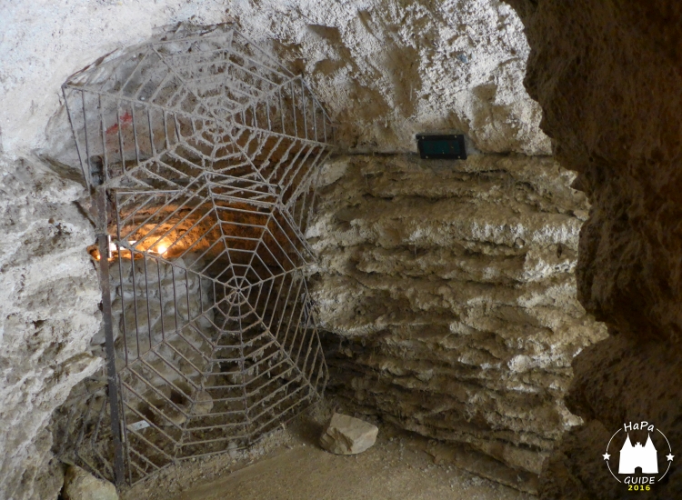 Ein Spinnengitter am Ausgang der Bärenhöhle