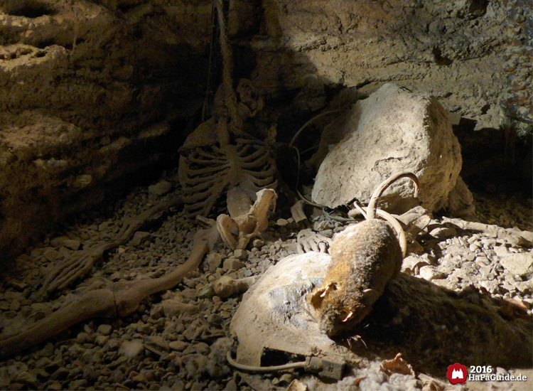 Bärenhöhle - Ratte und Skelett