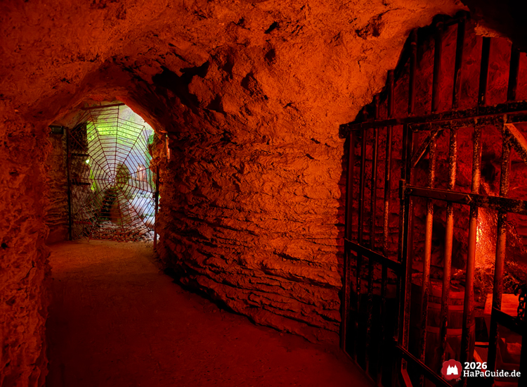 Unterirdischer Tunnel in der Bärenhöhle des Hansa-Parks mit rotem Licht und Felswänden, im Hintergrund ein Spinnennetz-Tor aus Metall, das grün beleuchtet ist