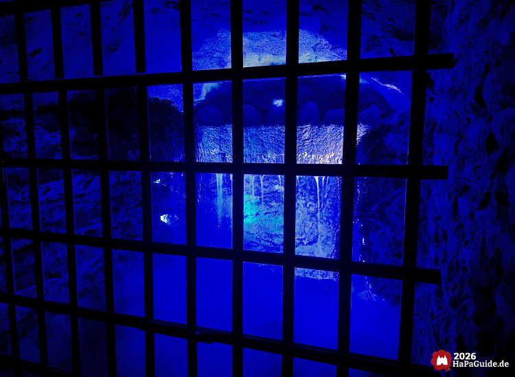Blick durch ein schwarzes Gitter in eine blau beleuchtete Kammer der Bärenhöhle im Hansa-Park, mit Felswänden, Nebel und Wasserfall