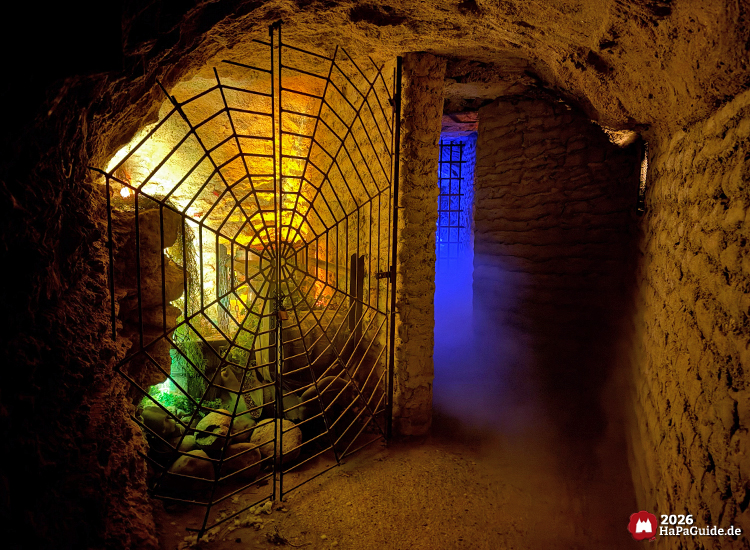 Metalltor in Spinnennetzform in der Bärenhöhle des Hansa-Parks, beleuchtet mit gelbem und blauem Licht, Nebel zieht durch den steinernen Tunnel