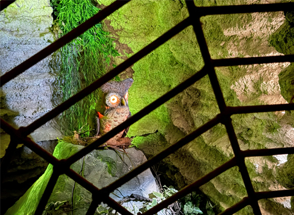 Mit Klick Bilder-Galerie öffnen Bilder-Galerie öffnen