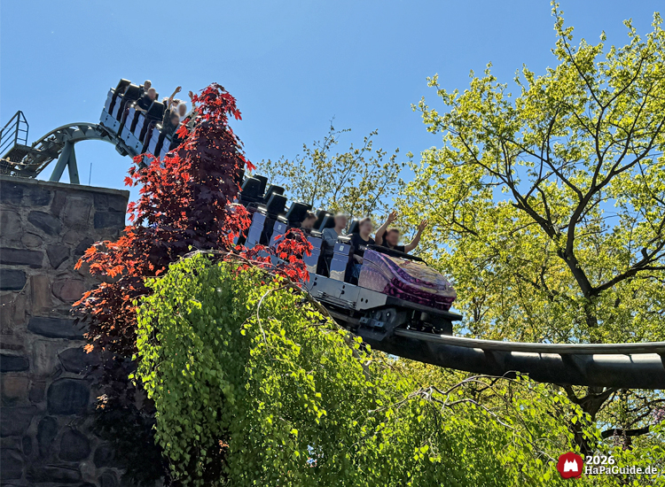 Zug der Loopingbahn Nessie im Hansa-Park rauscht bei sonnigem Wetter eine Abfahrt hinunter, umgeben von grünen und roten Bäumen, während die Fahrgäste mit erhobenen Armen den Fahrtwind genießen