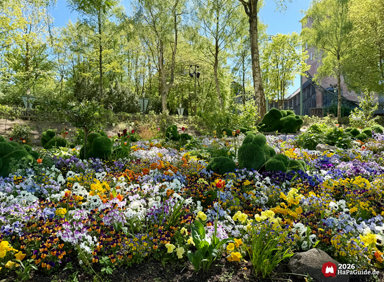 Farbenprächtiges Blumenbeet entlang der Blumenmeerbootsfahrt im Hansa-Park mit gelben, weißen, violetten und roten Blüten, umgeben von grünen Bäumen und Rasen-Hasen unter blauem Himmel