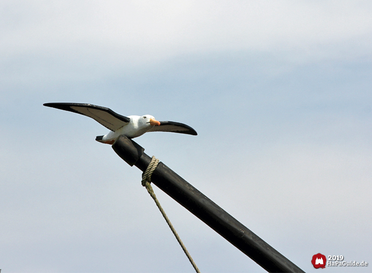 Caravelle Niña - Fliegende Möwe auf Mast