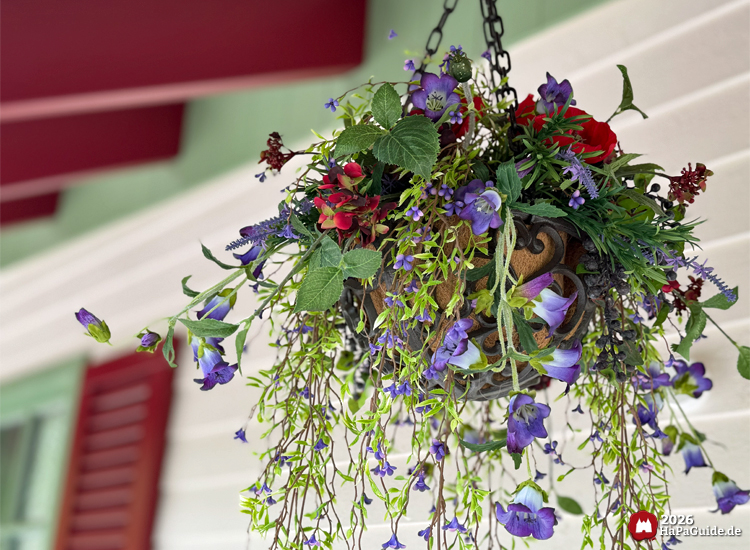 Hängender Blumenkorb am Hansa-Park Cornwall Coaster mit roten, violetten und grünen Blüten unter einem roten Dach, vor hellgrüner Wand und roten Fensterläden, dekorativ arrangiert