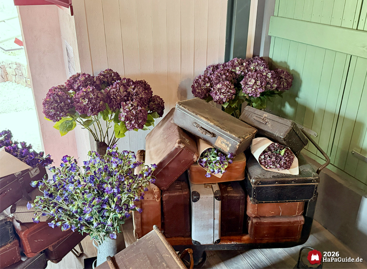 Dekorative Szene im Bahnhof des Hansa-Park Cornwall Coasters mit alten braunen Koffern und violetten Blumenarrangements, darunter Hortensien und Veilchen, vor hellen Holzwänden und grünen Türen