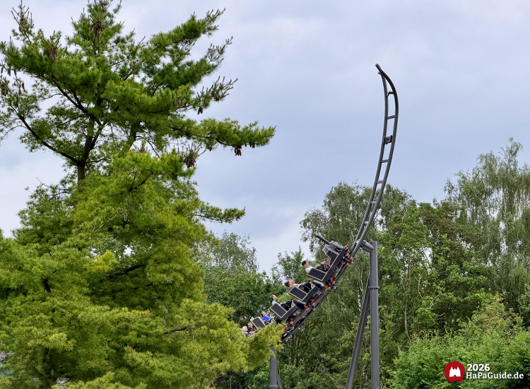 Achterbahn Cornwall Coaster im Hansa-Park fährt den steilen Spike aufwärts durch grüne Baumlandschaft, schwarze Schienen und Wagen im Stil einer Dampflokomotive unter grauem Himmel