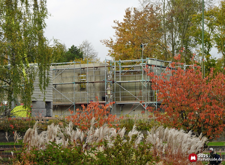 Cornwall Coaster - Die Wände des Bahnhofsgebäudes wachsen im Hansa-Garten