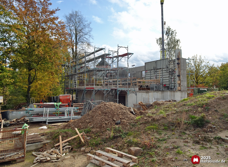 Cornwall Coaster - Der Bahnhof wächst in die zweite Etage