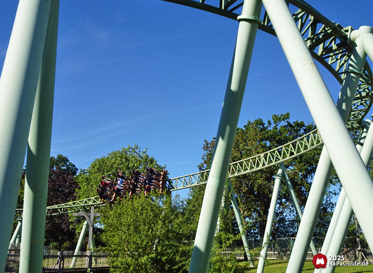 Der Schwur des Kärnan - Wendung im Wikingerland
