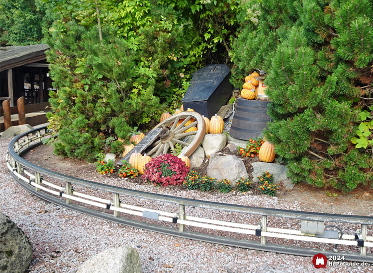 Erntedank im Hansa-Park - Beet mit Kürbissen Pony Post