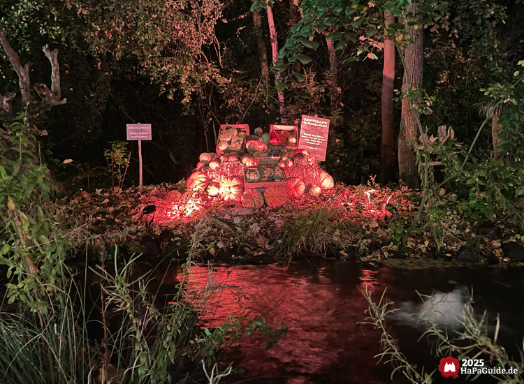 Beleuchtete Kürbisdekoration im Hansa-Park bei Nacht mit roten Lichtern am Ufer eines kleinen Teichs, umgeben von Bäumen und Herbstlaub