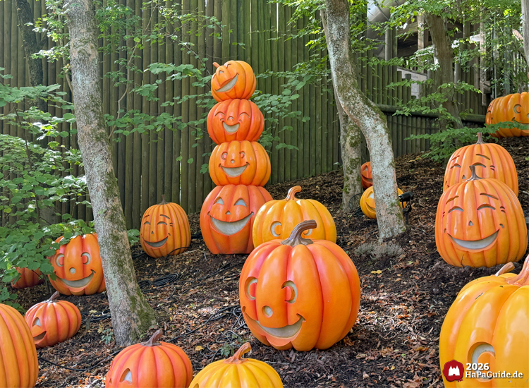 Fröhliche Kürbisfiguren nahe New Lübeck im Hansa-Park zwischen Bäumen und Holzzaun, mehrere große orangefarbene Kürbisse mit lachenden Gesichtern, Dekoration zu Erntedank