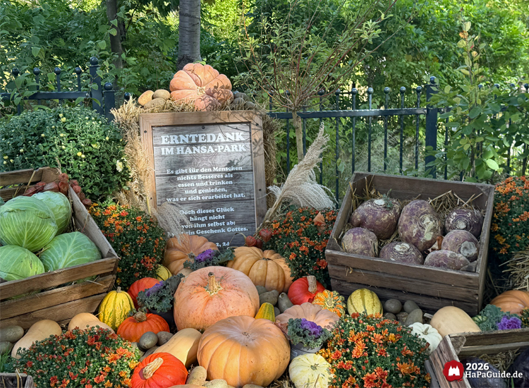 Erntedank-Dekoration im Hansa-Park mit Holzschild und Bibelvers Prediger 2,24, umgeben von Kürbissen, Kohl, Rüben und bunten Blumen, herbstliche Farben und Sonnenlicht