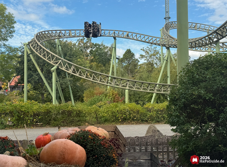 Achterbahn Flucht von Novgorod im Hansa-Park mit grünem Buchtknoten und vorbeifahrendem Zug, im Vordergrund Kürbisse und herbstliche Pflanzen als Dekoration