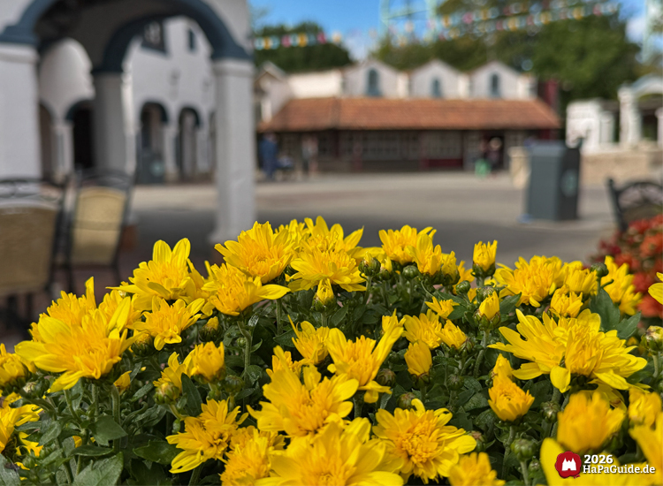 Gelbe Chrysanthemen im Vordergrund des Themenbereichs Fiesta del Mar im Hansa-Park, dahinter weiße Gebäude mit Bögen und festlicher Dekoration unter blauem Himmel