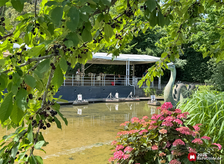 Blick durch Blätter auf den Teich der Fernlenkschiffe im Hansa-Park mit Seeungeheuer-Skulptur, pinken Hortensien und kleinen Modell Hansekopggen vor dem überdachten Steg