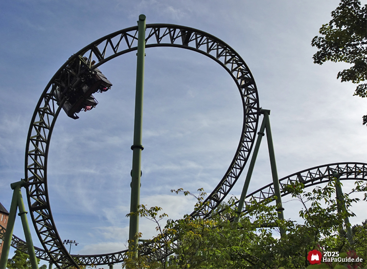 Flucht von Novgorod - Der Buchtknoten schräg von unten