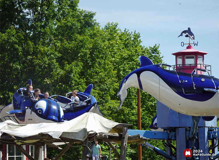 Flying Orcas - Blaue Wale in der Luft