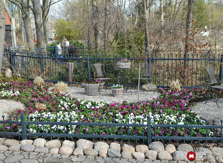 Kleine Kiesfläche mit bunten Frühlingsblumen und Sitzgruppe im Hansa-Garten