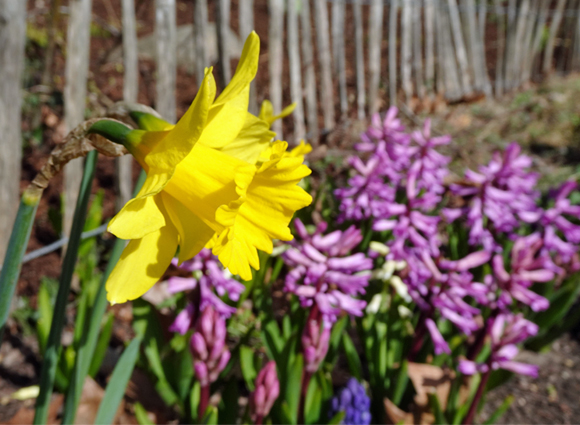 Bilder-Galerie öffnen