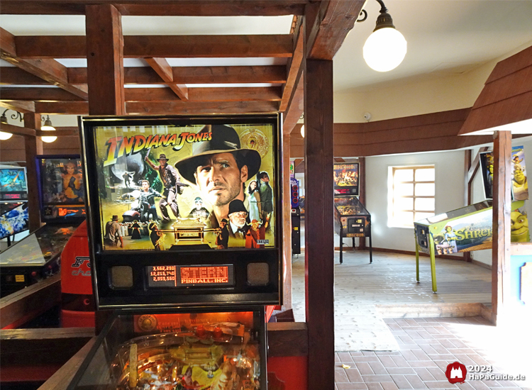 Gamble Hall - Indiana Jones Flipper