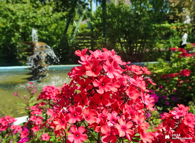 Hansa-Garten - Flammenblumen vor Wasserfontänen