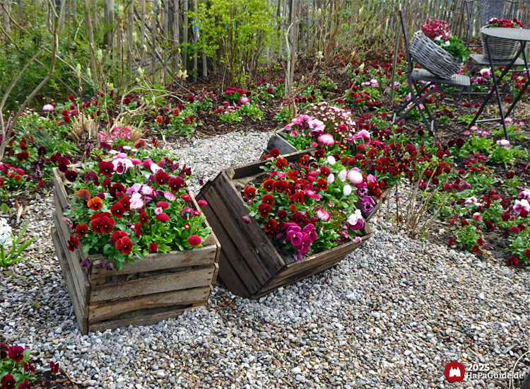 Hansa-Garten - Mit Blumen dekorierte Holzkisten