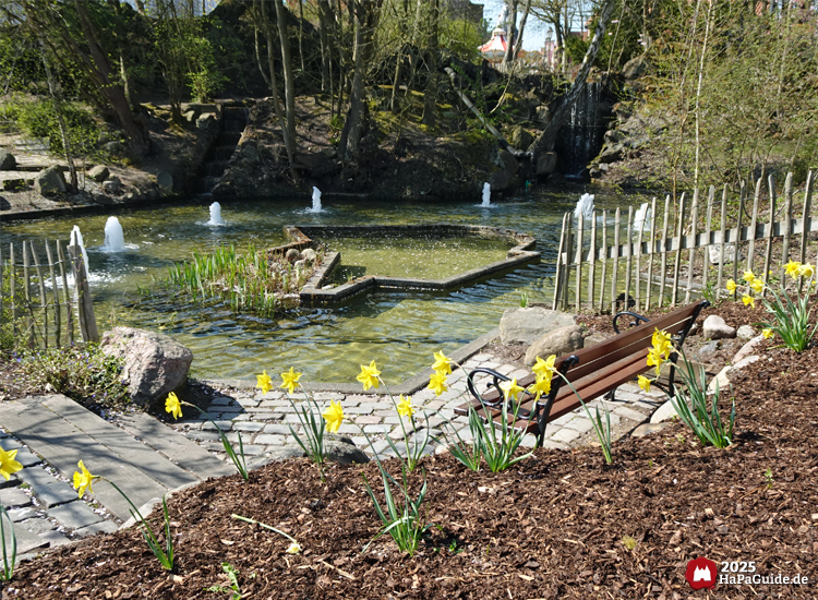 Hansa-Garten - Teich mit Wasserfontänen umgeben von Osterglocken
