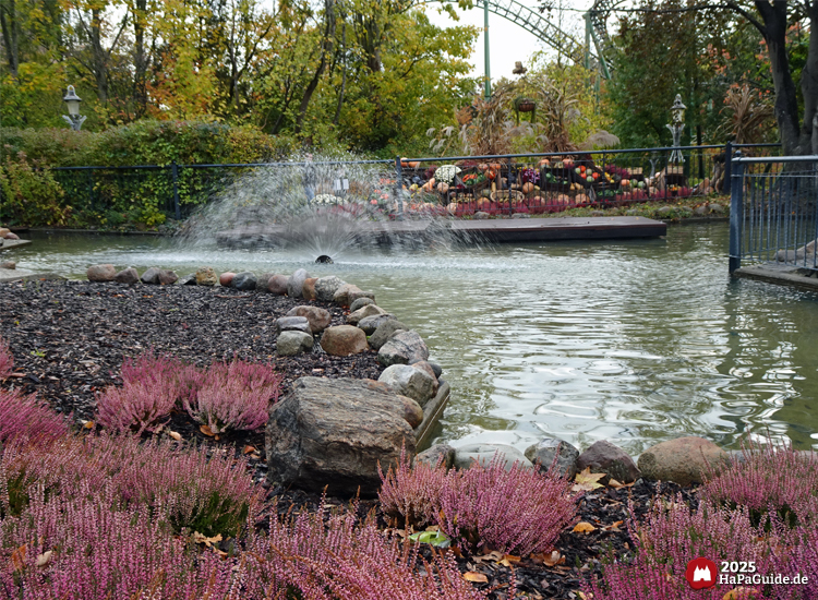 Hansa-Garten - Wassersprühfontäne in herbstlichen Blumen