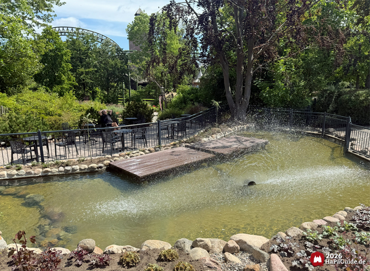 Springbrunnen im Teich des Hansa-Gartens sprüht Wasser in die Luft, umgeben von Steinen, Bäumen und grüner Vegetation, im Hintergrund Achterbahn und Spazierweg