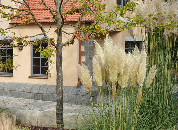 Bilder-Galerie öffnen
