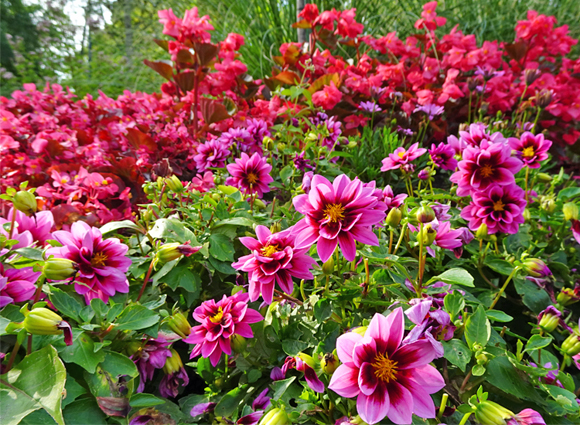 Mit Klick Bilder-Galerie öffnen Bilder-Galerie öffnen