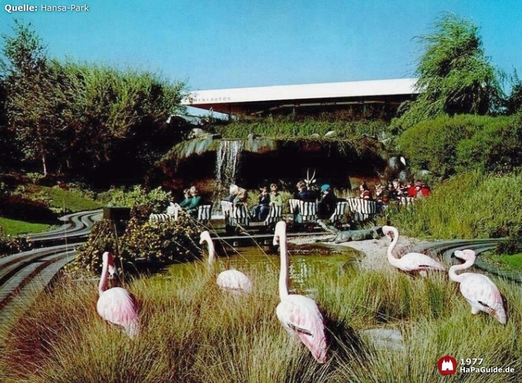 Flamingos vor dem langen Zug der Safaribahn