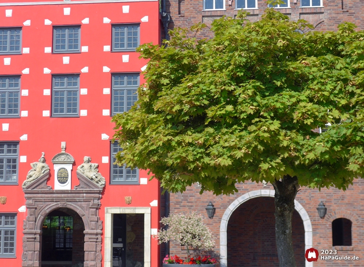 Hinter einem Baum zeigen sich die Fassaden Stockholms