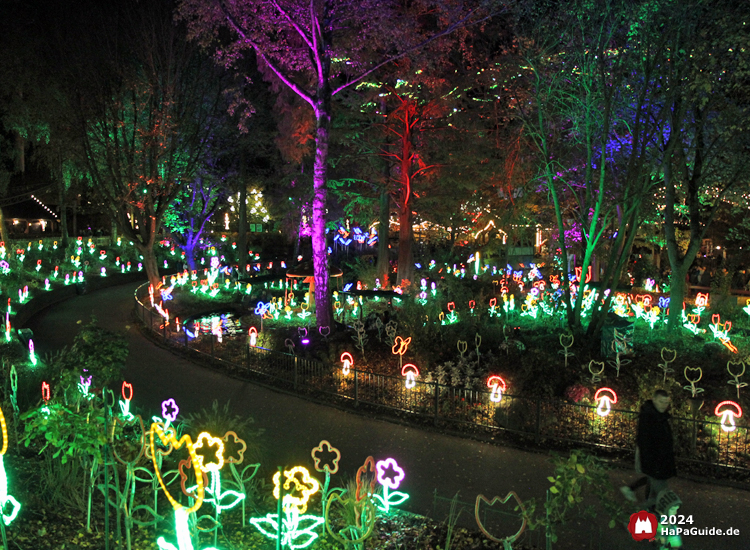 Herbstzauber am Meer - Elektronische Blumen an der Blumenmeerbootsfahrt