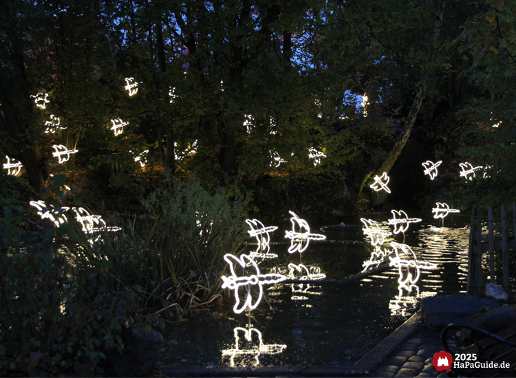 Herbstzauber am Meer - Weiß leuchtende Libellen über einem Teich