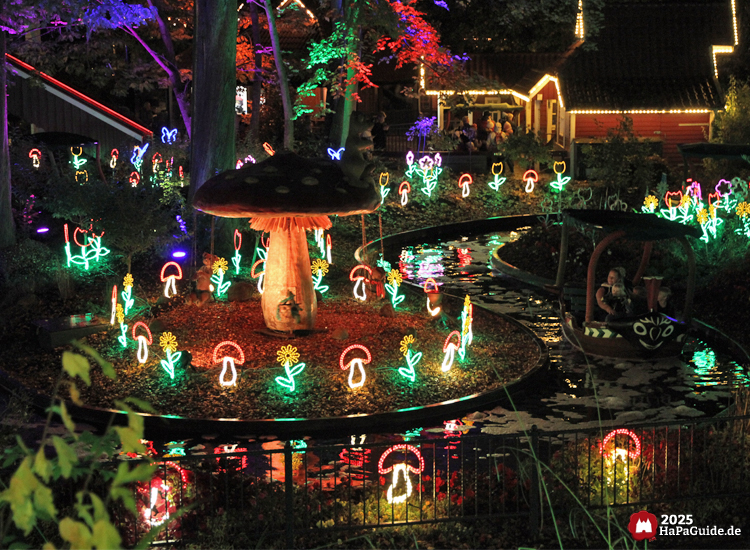 Herbstzauber am Meer - Leuchtende Pilze und Blumen rund um den Fliegenpilz der Blumenmeerbootsfahrt
