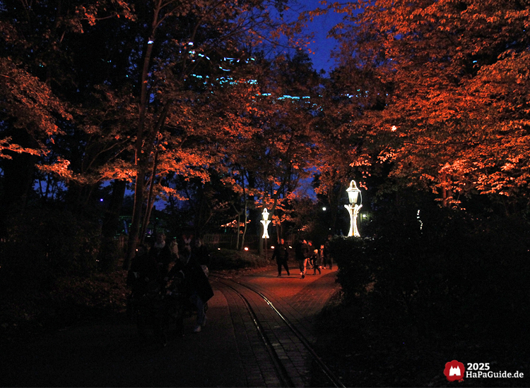 Herbstzauber am Meer - Durchgang mit rot-orange ausgeleuchteten Baumkronen