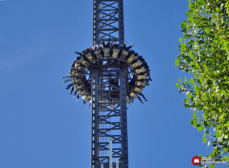 Highlander - Sturz hinter Baumgrün