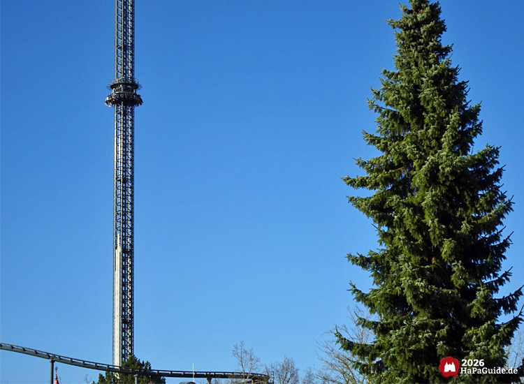 Highlander im Hansa-Park bei klarem blauem Himmel mit grünem Nadelbaum im Vordergrund