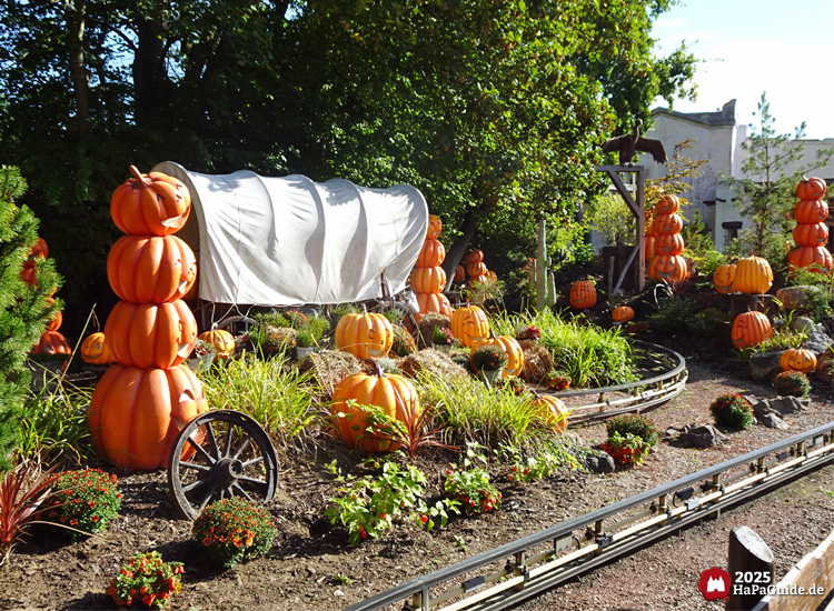 New Lübeck - Zahlreiche Kürbisse entlang der Pony Post