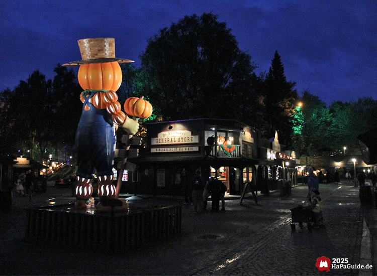 New Lübeck - John Field von hinten bei Dunkelheit