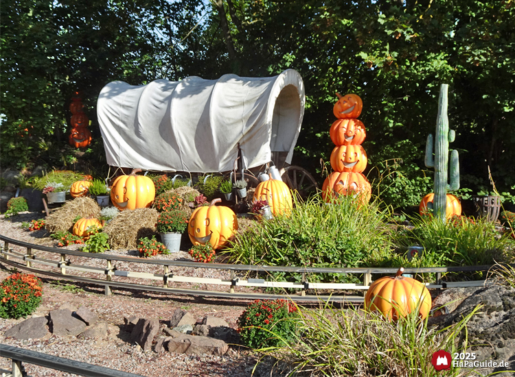 Pony Post - Kürbisse rund um den Planwagen