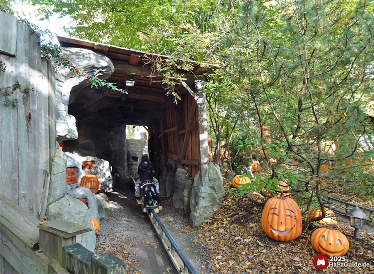 Pony Post - Überdachter Durchritt