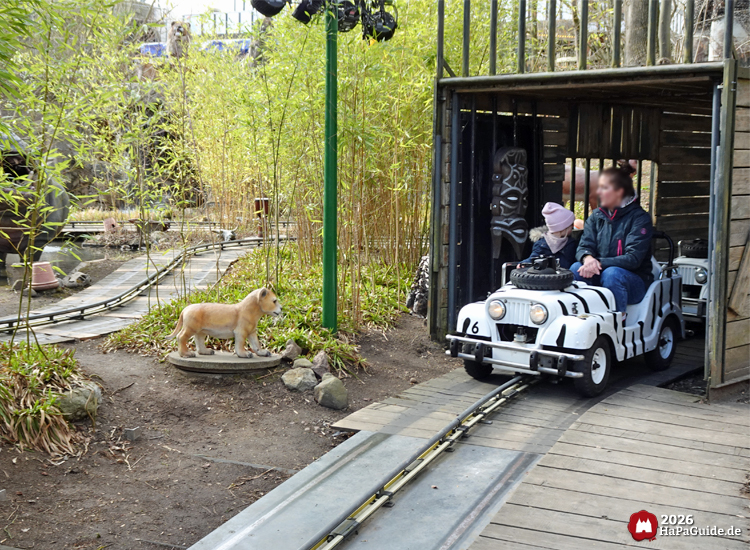 Zebra-Jeep der Safari-Tour im Hansa-Park verlässt eine Nashorntransportkiste, daneben steht ein Löwenbaby zwischen Bambus und Felsen, Mutter und Kind sitzen im Fahrzeug